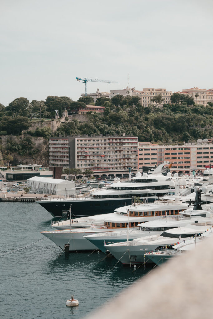 alberxraulxmonaco-19